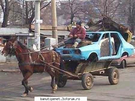 :rotfl: poze hazlii